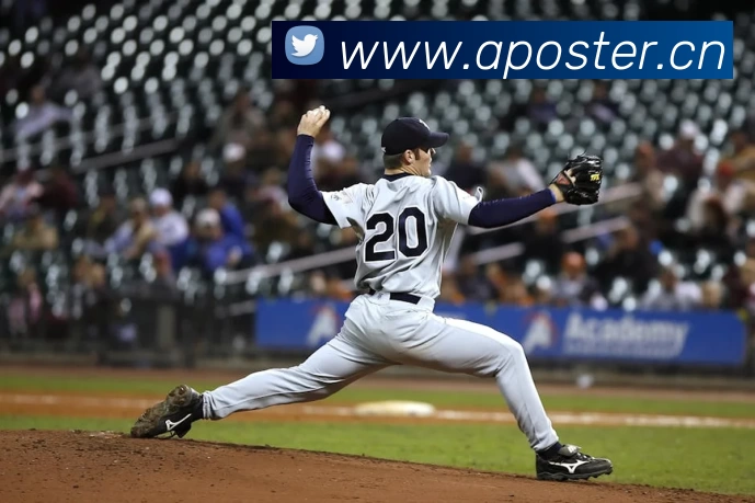 App Interface Preview